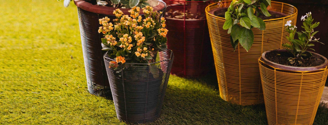 Buy Outdoor Oasis For Garden & Yard | The House of Things