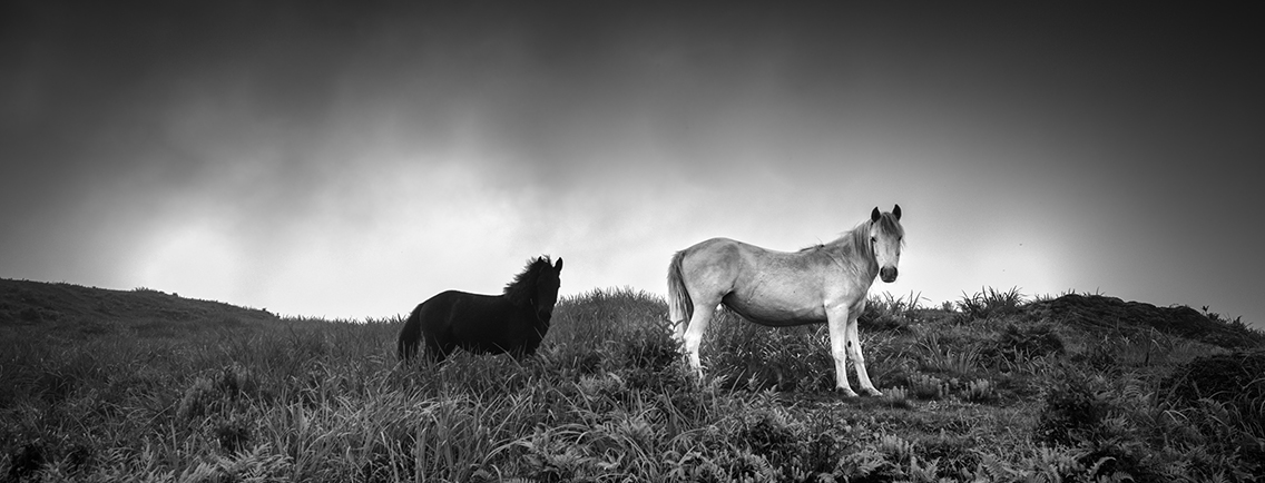 Artistic Photography Online at The House of Things