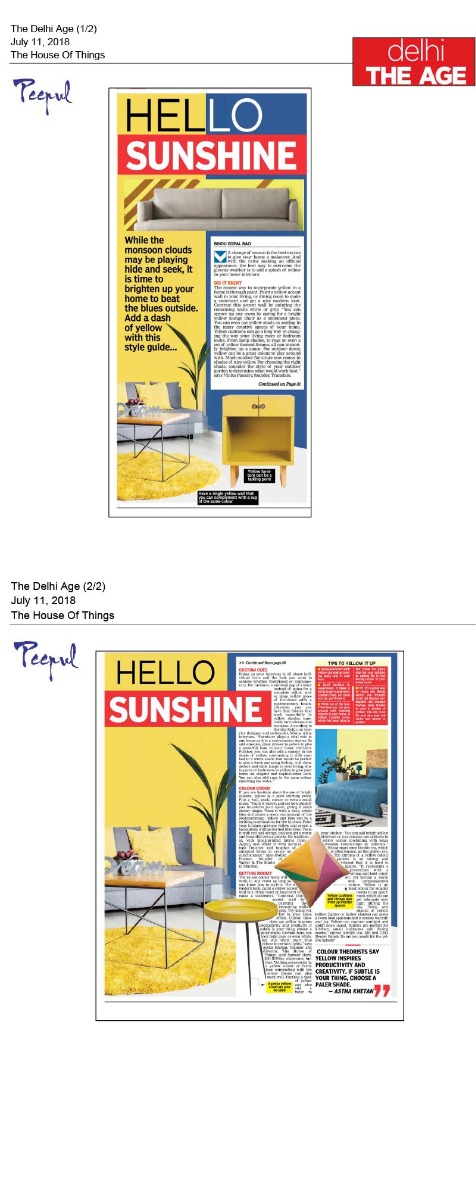 The Delhi Age