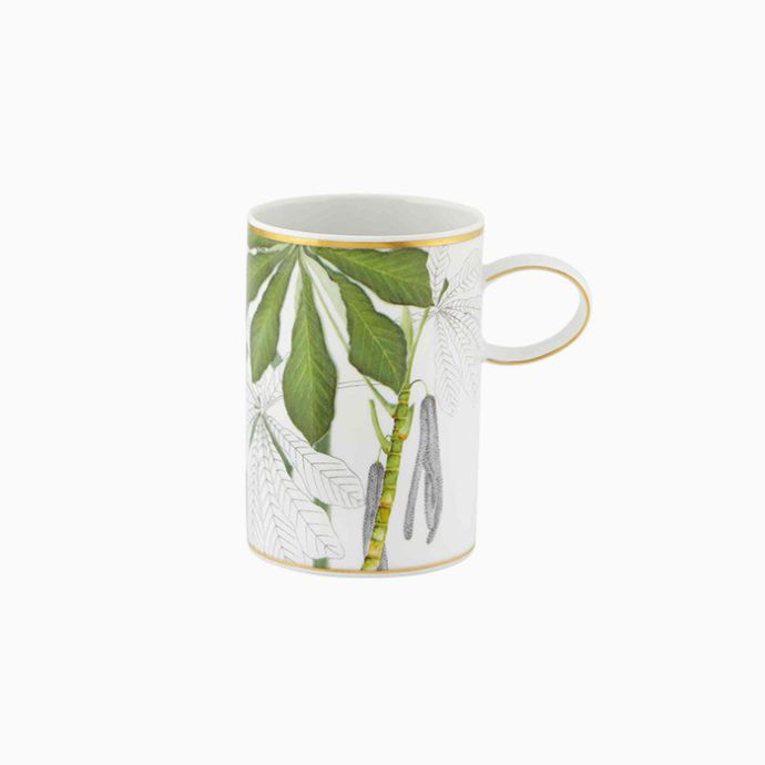 Mug (Set of 4) - Amazonia