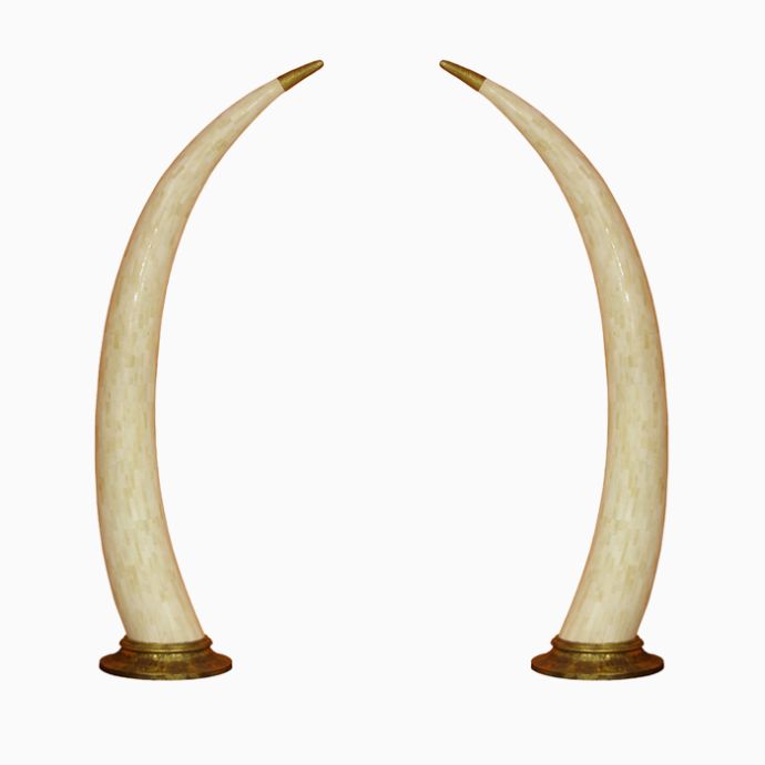 Sculptural Tusks
