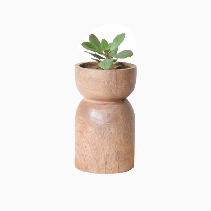 This Or That Planter