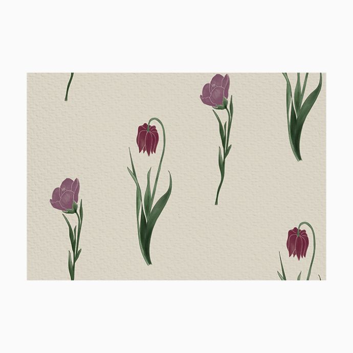 Tulip Garden Wallpaper